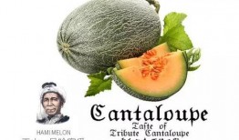 黑吃瓜网站推荐