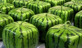 中国人吃瓜不甜,传统饮食习惯与地域差异的碰撞