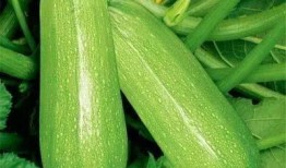 刘兰吃瓜,揭秘娱乐圈背后的秘密与真相