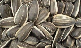 小葵在线吃瓜,揭秘娱乐圈幕后故事