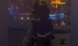 狼人吃瓜群众视频,揭秘游戏背后的真实故事