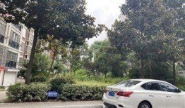 盛世豪庭吃瓜事件