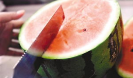 松瓜用去籽吗怎么吃,松瓜去籽技巧与美味食用方法解析