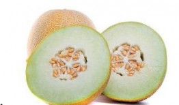 排卵期吃哈密瓜好不好,健康益处与注意事项