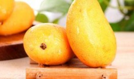 备孕吃梨瓜,梨瓜助力备孕健康生活