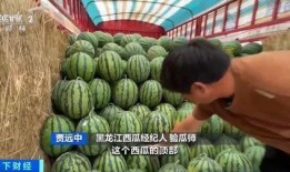 东南亚吃瓜中心,探寻“吃瓜中心”的独特风味