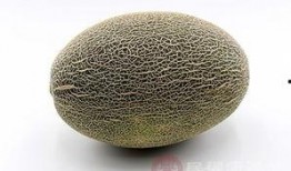 沉浸式吃冰冻哈密瓜,沉浸式哈密瓜盛宴，尽享夏日清凉