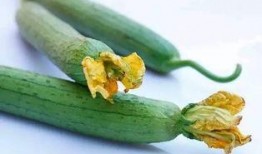 三花吃瓜,一场别开生面的夏日盛宴