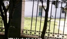 黑科大栏杆吃瓜,一场别开生面的“吃瓜”盛宴