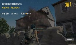 瓜某人吃鸡解说,趣味横生的游戏盛宴