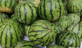 怎么吃麒麟瓜好吃呢,麒麟瓜美味食法大揭秘