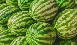 被窝里吃瓜,共享那些暖心的瞬间