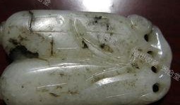 运城白玉瓜怎么吃