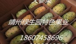 减肥吃蜜瓜行吗