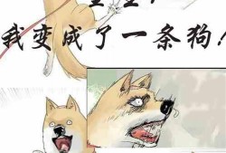 吃瓜被抓小说,一场网络风波的启示录