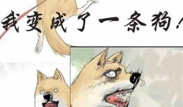 吃瓜被抓小说,一场网络风波的启示录