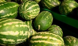 酉阳吃瓜事件,揭秘网络谣言背后的真相