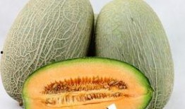 哈密瓜和啤酒一起吃吗,美味还是禁忌？