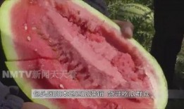 老王吃瓜影视,揭秘娱乐圈幕后故事