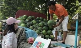 济宁最新吃瓜,揭秘背后惊人真相