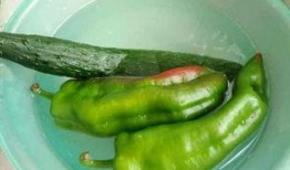 小辣辣吃瓜,揭秘娱乐圈那些不为人知的幕后故事