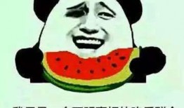 吃瓜群众经典诗句,揭秘民间智慧与幽默