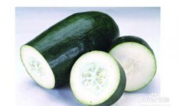 吃瓜籽的瓜种植,探寻种植美味瓜果的奥秘