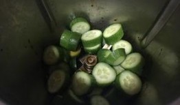 早上吃脆瓜好吗,清爽开胃，健康养生新选择