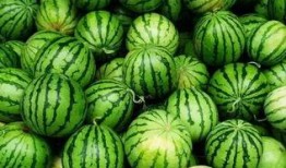 淄川吃瓜群,揭秘网络社交圈的趣味与争议