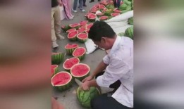 老板送几个瓜吃,共享夏日清凉时光