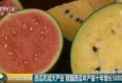 世界热心吃瓜群众,揭秘娱乐圈幕后风云