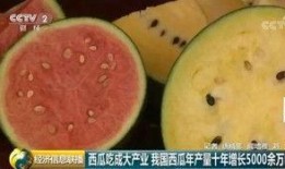 世界热心吃瓜群众,揭秘娱乐圈幕后风云