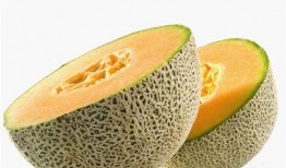 宝宝如何吃哈密瓜,营养美味两不误