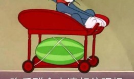 红娘吃瓜,揭秘婚恋市场的甜蜜陷阱与真实故事