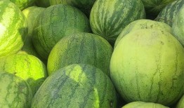 吃瓜多好,吃瓜群众眼中的娱乐圈风云录