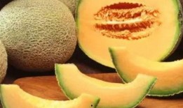 哈密瓜和啤酒一起吃吗,美味还是禁忌？