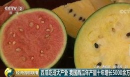 吃全世界的瓜