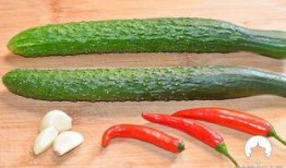 吃瓜嘴辣辣的,揭秘娱乐圈那些不为人知的幕后故事