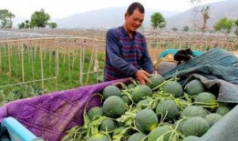 吃瓜群众闫勇,揭秘娱乐圈背后的那些事儿