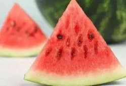 吃瓜小秋秋,揭秘娱乐圈那些不为人知的幕后故事