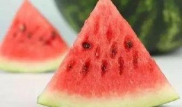 吃瓜小秋秋,揭秘娱乐圈那些不为人知的幕后故事