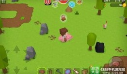 吃瓜大世界应用,揭秘娱乐圈幕后故事，带你领略明星真实生活