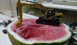 霸气吃瓜群名,揭秘娱乐圈幕后风云