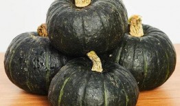 半个贝贝瓜怎么吃,半个贝贝瓜的多样食法探索