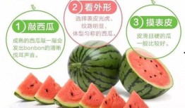 吃瓜群众经典诗句,揭秘民间智慧与幽默