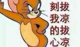 吃瓜群众图片亮点,捕捉生活中的趣味瞬间