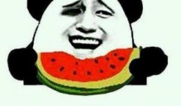 北美真吃瓜群众,揭秘娱乐圈背后的真相与八卦