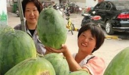 庄河光明小区吃瓜,吃瓜群众见证邻里和谐生活