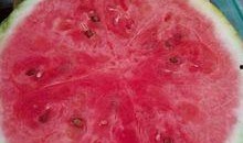 镇雄医院吃瓜,真相揭秘与反思