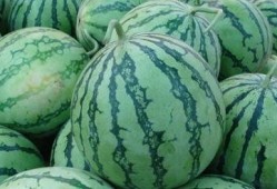 小傻吃瓜,揭秘娱乐圈那些不为人知的幕后故事